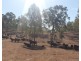 931 Nearum Road, Nearum QLD 4671