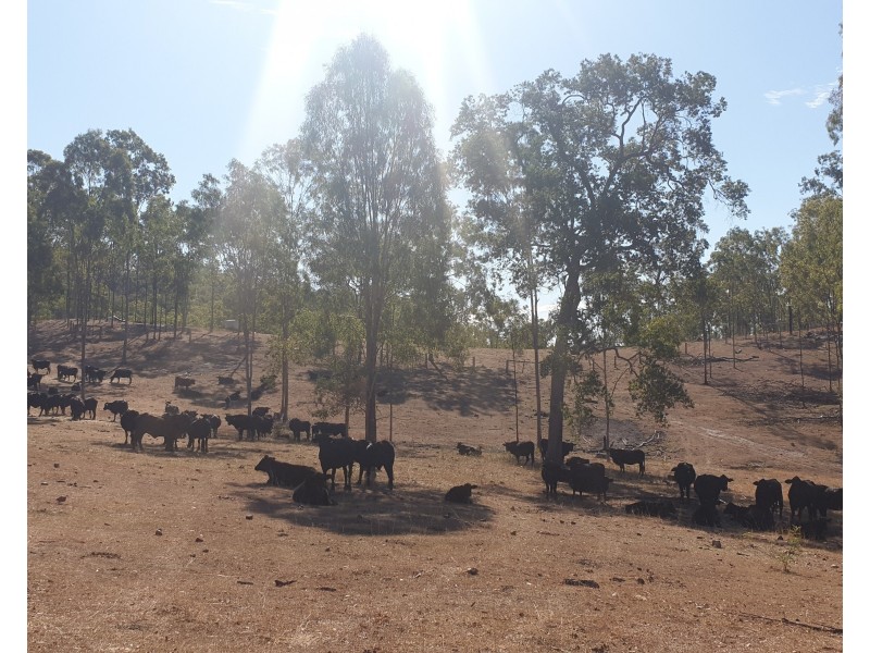 931 Nearum Road, Nearum QLD 4671