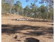 931 Nearum Road, Nearum QLD 4671