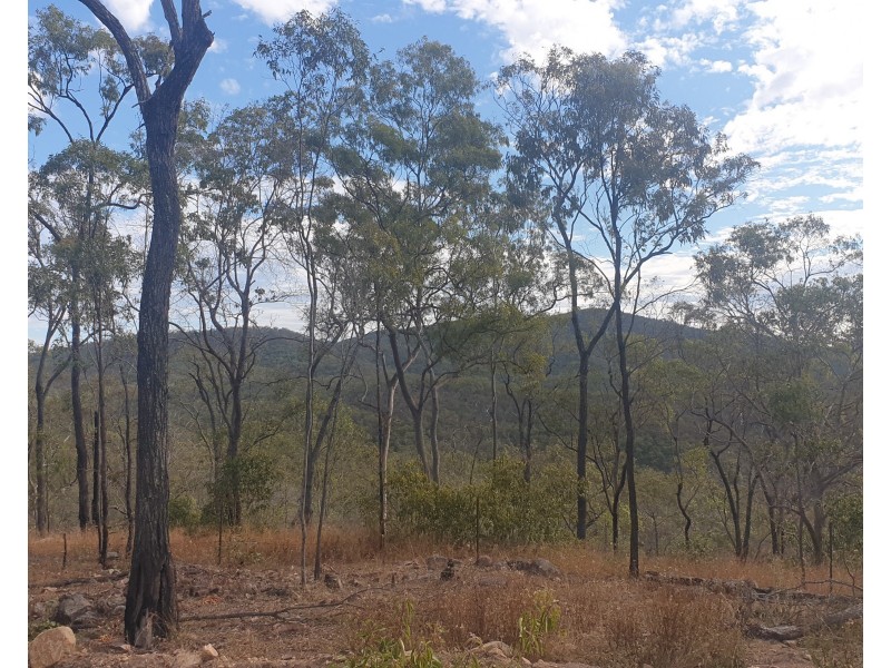 931 Nearum Road, Nearum QLD 4671