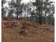 931 Nearum Road, Nearum QLD 4671