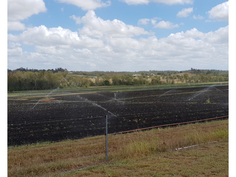337 Sondergeilds, Gin Gin QLD 4671