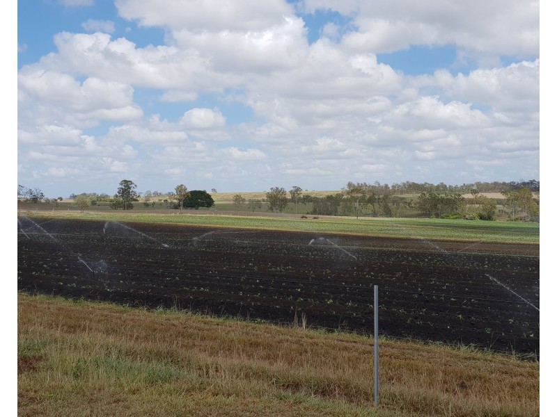 337 Sondergeilds, Gin Gin QLD 4671