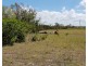337 Sondergeilds, Gin Gin QLD 4671