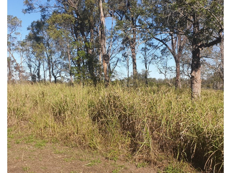 1949 Bucca Road, Bucca QLD 4670