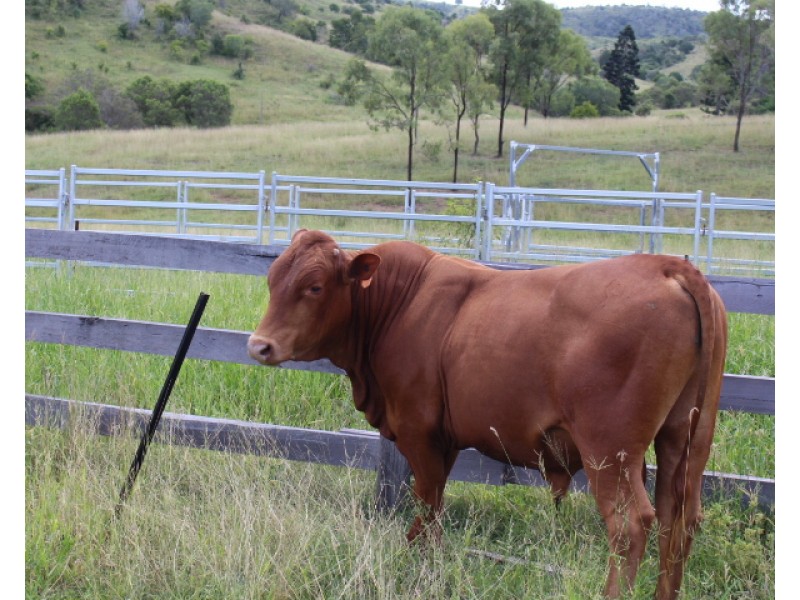 192 Tatchkes Rd, Gin Gin QLD 4671