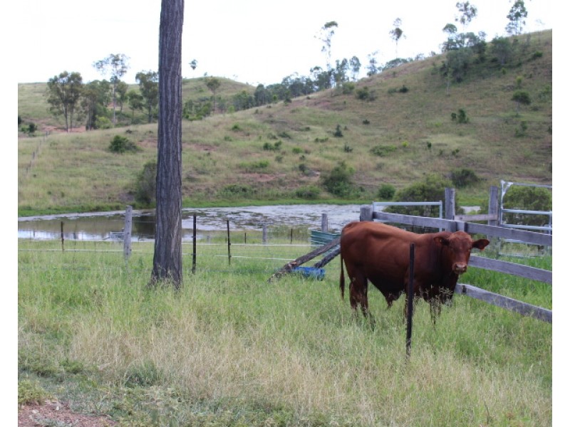 192 Tatchkes Rd, Gin Gin QLD 4671