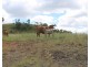 192 Tatchkes Rd, Gin Gin QLD 4671