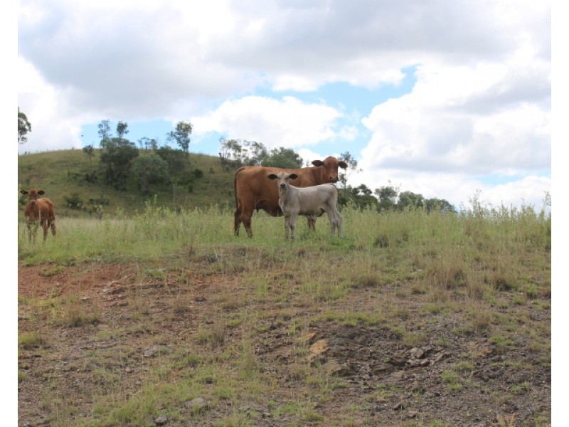 192 Tatchkes Rd, Gin Gin QLD 4671