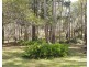 529 Doughboy Road, Doughboy QLD 4671