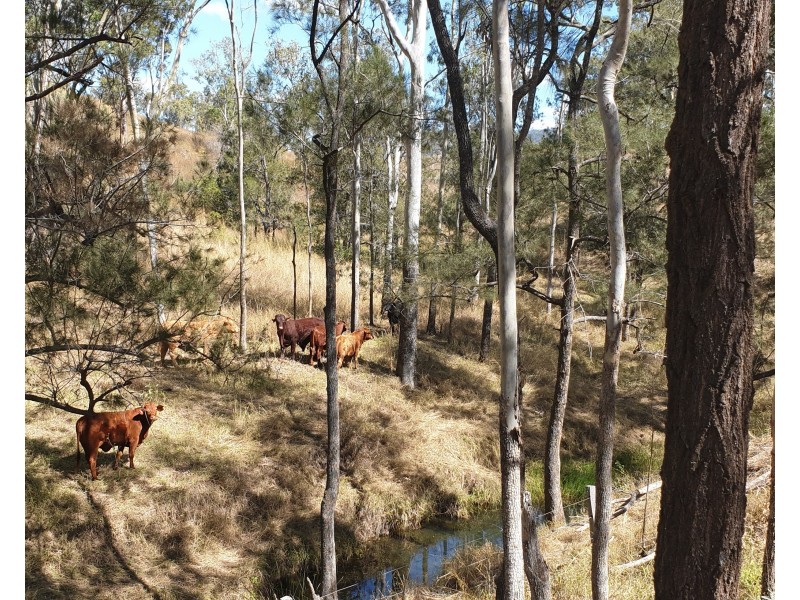 Lot Lot, 3 Nellers Road, New Moonta QLD 4671