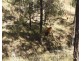 Lot Lot, 3 Nellers Road, New Moonta QLD 4671