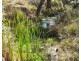 Lot Lot, 3 Nellers Road, New Moonta QLD 4671