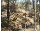 Lot Lot, 3 Nellers Road, New Moonta QLD 4671