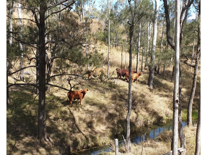 Lot Lot, 3 Nellers Road, New Moonta QLD 4671