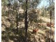 Lot Lot, 3 Nellers Road, New Moonta QLD 4671