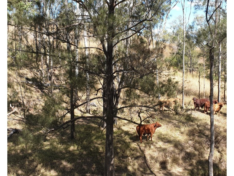 Lot Lot, 3 Nellers Road, New Moonta QLD 4671