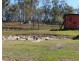 1186 Wallaville-Goondoon Road, Delan QLD 4671