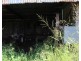 218 Mcilwraith Rd, Gin Gin QLD 4671