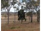 135 Melvilles Road, Maroondan QLD 4671