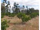 135 Melvilles Road, Maroondan QLD 4671