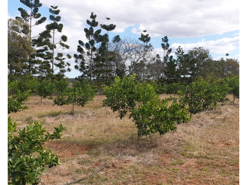 135 Melvilles Road, Maroondan QLD 4671