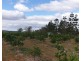 135 Melvilles Road, Maroondan QLD 4671