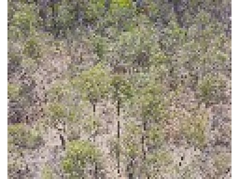 Lot 18,  Horsecamp Road, Horse Camp QLD 4671