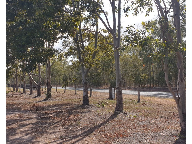 Birthamba Road, South Kolan QLD 4670