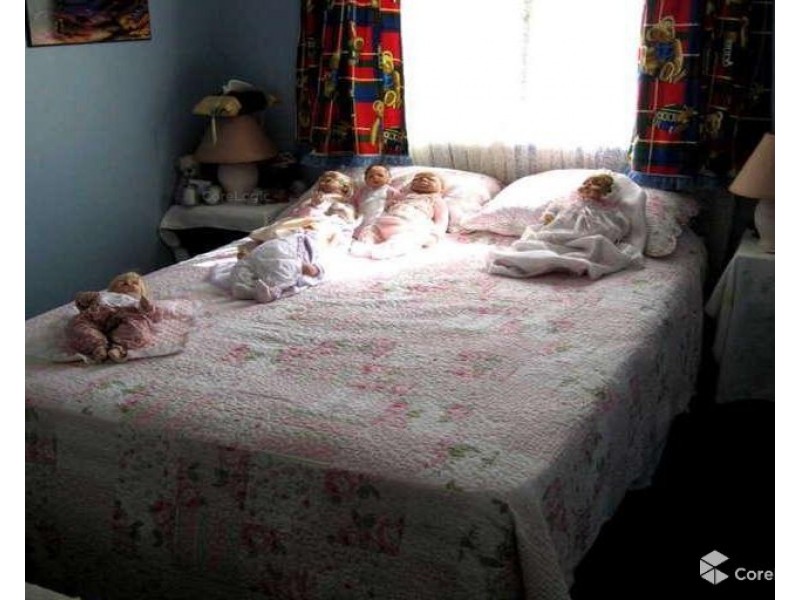 9 Old Shop Rd, Bullyard QLD 4671