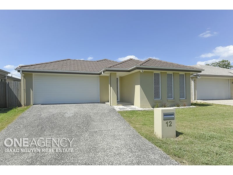 12 Drewett Avenue, Redbank Plains QLD 4301