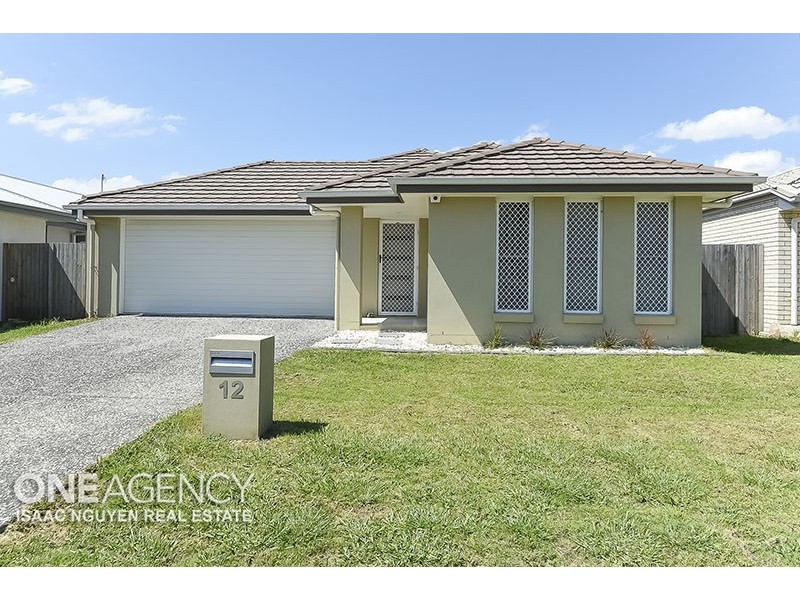 12 Drewett Avenue, Redbank Plains QLD 4301