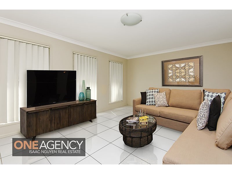 256 Alawoona Street, Redbank Plains QLD 4301