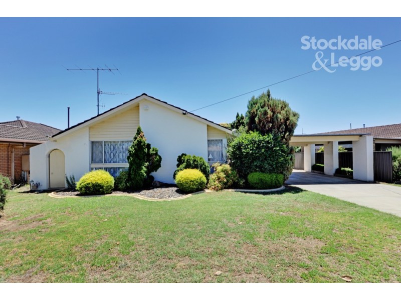 17 Wilmot Road, Shepparton VIC 3630