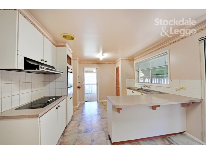 17 Wilmot Road, Shepparton VIC 3630