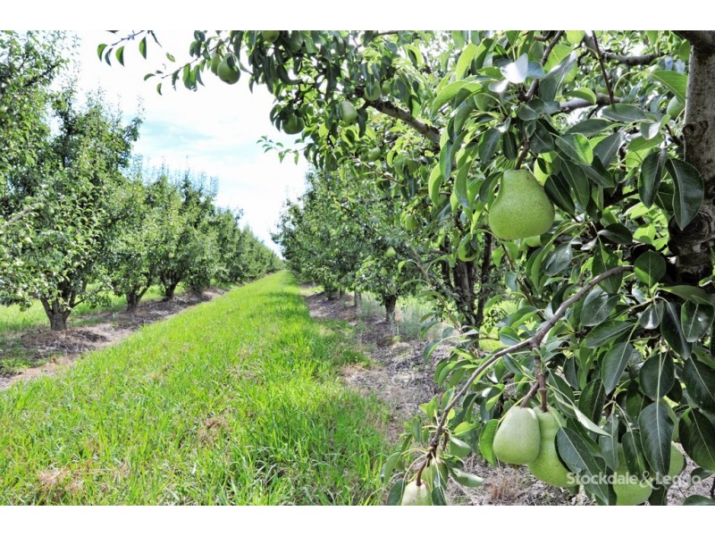 90-92 and 185 Prentice Road, Orrvale VIC 3631