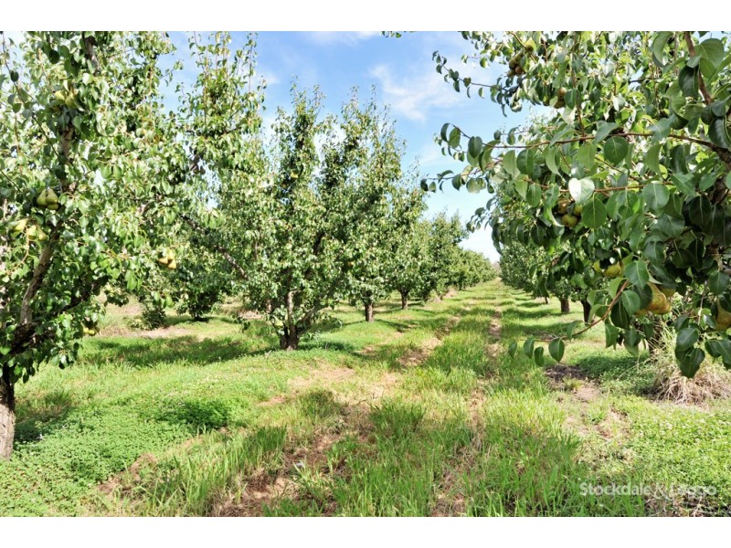 90-92 and 185 Prentice Road, Orrvale VIC 3631