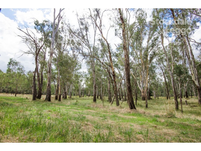 35 Trevaskis Road, Kialla East VIC 3631