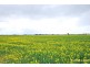Lot 2, 95 School Road, Shepparton East VIC 3631