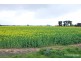 Lot 2, 95 School Road, Shepparton East VIC 3631