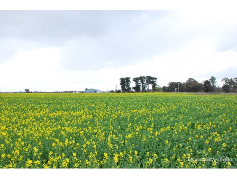 Lot 2, 95 School Road, Shepparton East VIC 3631
