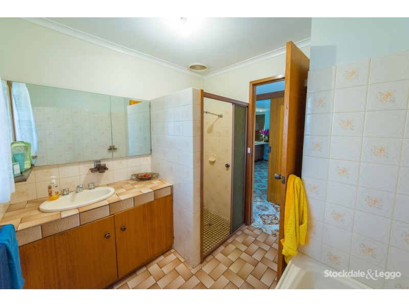 19 Delatite Avenue, Shepparton VIC 3630