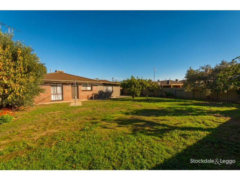 19 Delatite Avenue, Shepparton VIC 3630