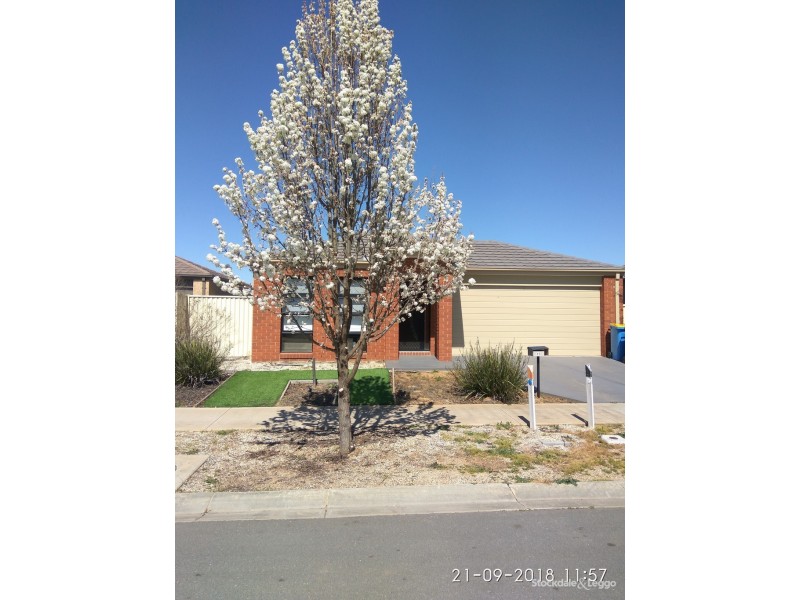 12 Noosa Court, Shepparton VIC 3630