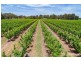 110 Coach Road, Shepparton East VIC 3631
