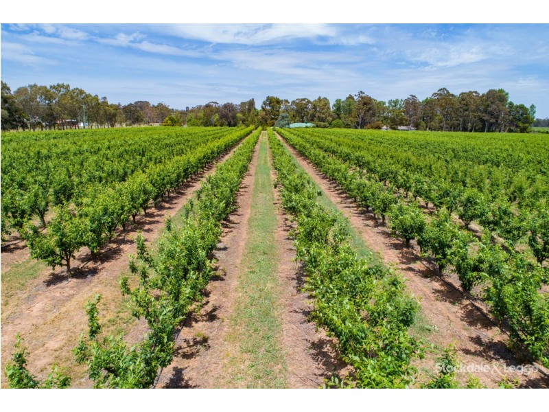 110 Coach Road, Shepparton East VIC 3631