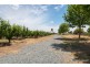 110 Coach Road, Shepparton East VIC 3631
