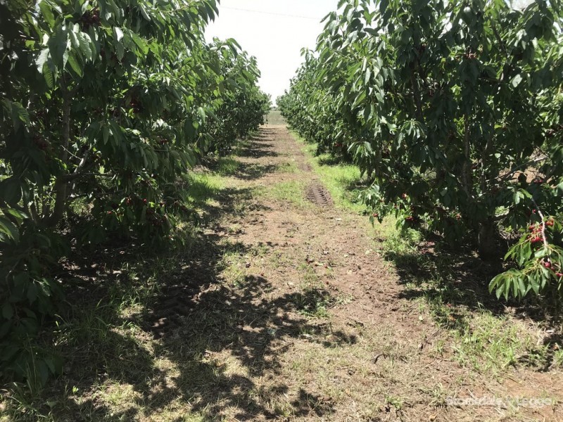 Lot 1 95 School Road, Shepparton East VIC 3631