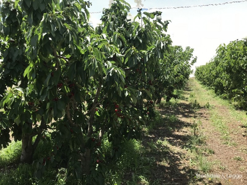 Lot 1 95 School Road, Shepparton East VIC 3631