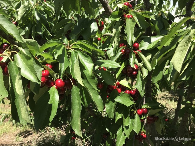 Lot 1 95 School Road, Shepparton East VIC 3631